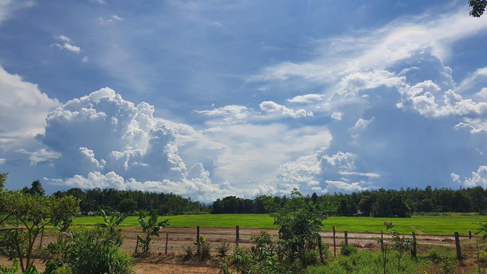 สวนบ้านนอก
