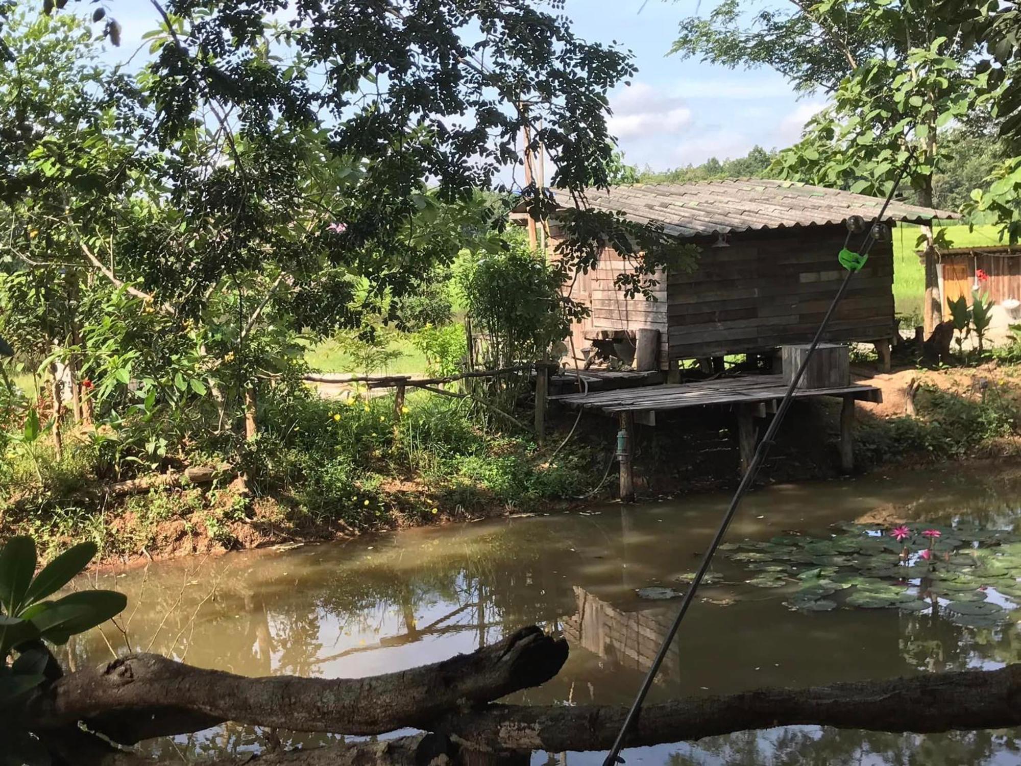 Alloggio per agriturismo สวนบ้านนอก *