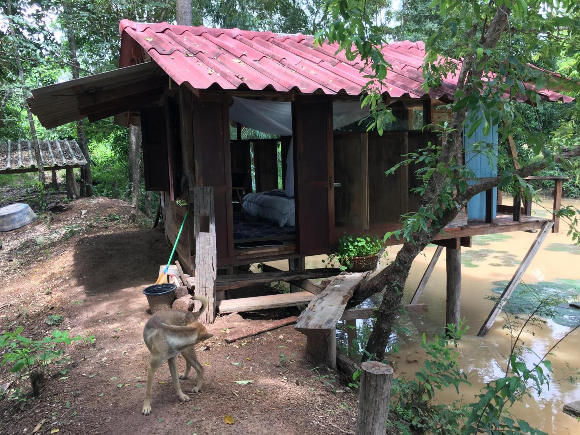 สวนบ้านนอก Alloggio per agriturismo Phayao